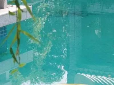 高效防水耐腐蚀：壹号娱乐-com - NG大舞台,有梦你就来超强水池涂料