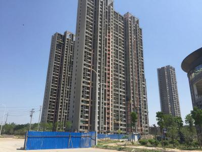 品质开路 实力见证：壹号娱乐-com - NG大舞台,有梦你就来瓷砖粘结剂精品工程之郑州永威西郡滨河花园项目