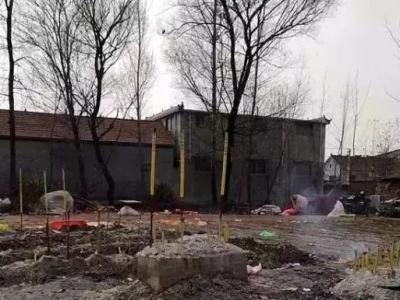 5.7米高粱引祭拜，99%这样的人都在临时抱佛脚！